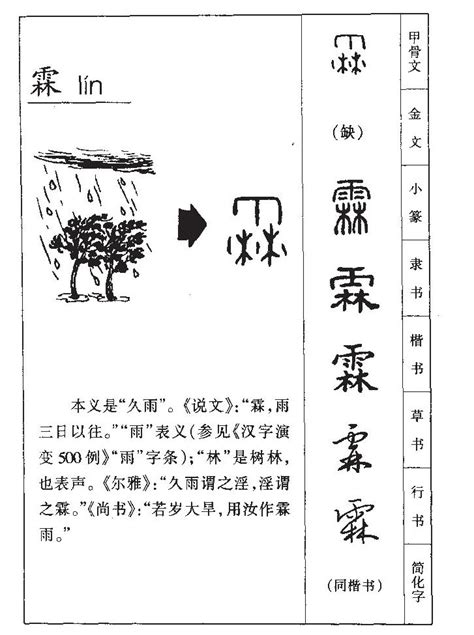 霖名字意思|霖字取名的寓意